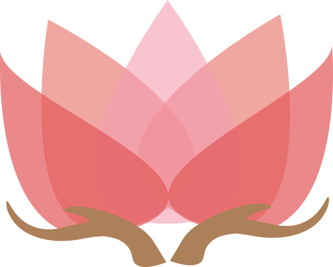 La flor de loto, que en Oriente se asocia a la pureza espiritual, especialmente en el budismo. Imagen CC0. Autor: unclelkt.
