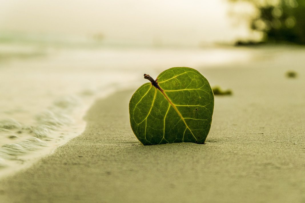 Playa. Pixabay