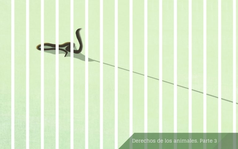 Superioridad e inferioridad entre especies. "Todas las criaturas vivientes somos alimento... y también mucho más que alimento", reflexiona Val Plumwood. © Ana Yael.