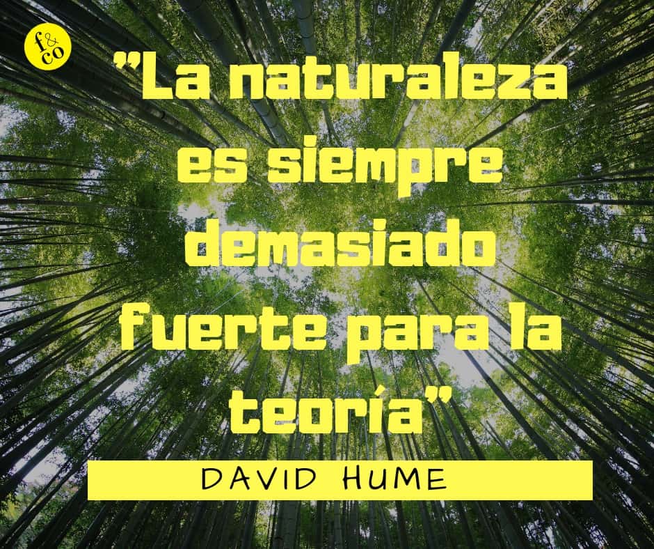 Frase-filosófica-David-Hume