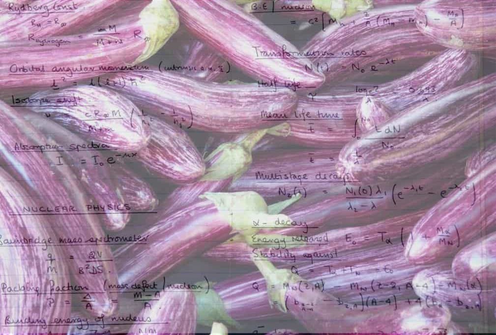 ¿Qué demonios tendrán que ver la física con las berenjenas? Si quieres la respuesta quizá tengas que leer a Andrés Gomberoff.