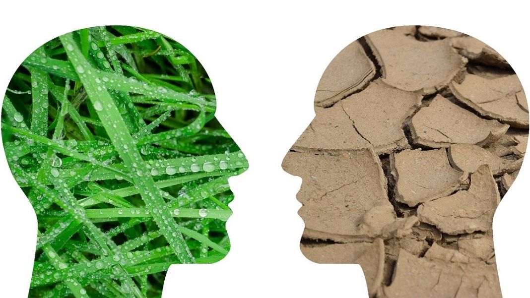 Leonardo Ordóñez enfrenta las dos vertientes de las consecuencias del confinamiento debido al coronavirus: por un lado, los beneficios para la naturaleza, menores índices de contaminación y respiro de la fauna arrinconada por la acción humana; por otro, la preocupación y el desgarro por la destrucción de la salud y vidas humanas y la inquietud por los efectos adversos de la parálisis económica.