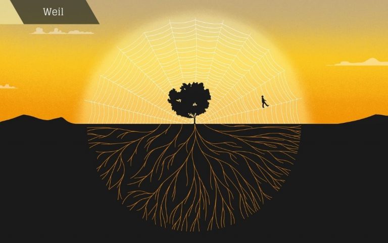 Simone Weil conectada al sol, trascendiendo a través de su vertiente mística, tejiendo nuevas raíces, avanzando libre y sin ataduras por su red. Las raíces de las que habla Weil son mucho más sólidas que una tela que se rasga con facilidad y que tirando de un hilo puedes desajustar todo... © Ana Yael