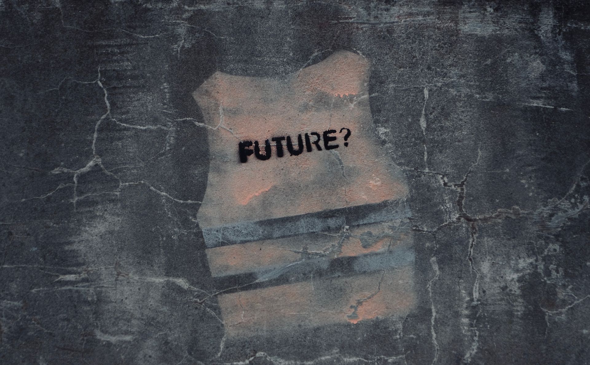 Lo distópico se representa a través de la silueta de un chaleco salvavavidas donde podemos leer un interrogante: "Future?". Imagen de Tomas Ryant en Pexels (licencia Canva Pro).