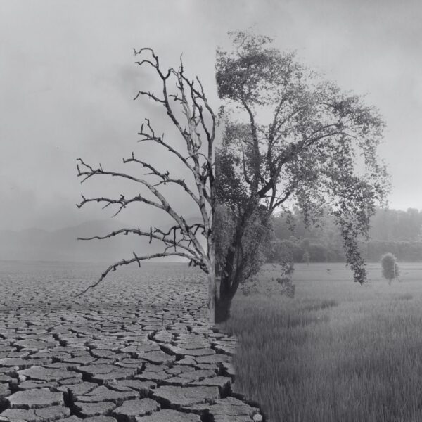 Por «Antropoceno» entendemos el momento de la historia en el que la crisis socioambiental empieza a alcanzar una profundidad geológica. Imagen extraída de Canva Pro.