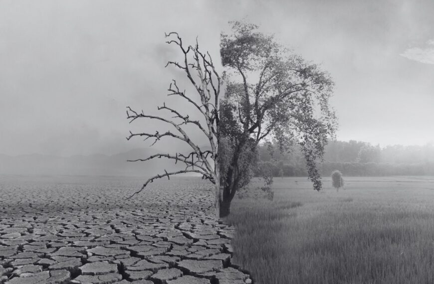 Por «Antropoceno» entendemos el momento de la historia en el que la crisis socioambiental empieza a alcanzar una profundidad geológica. Imagen extraída de Canva Pro.