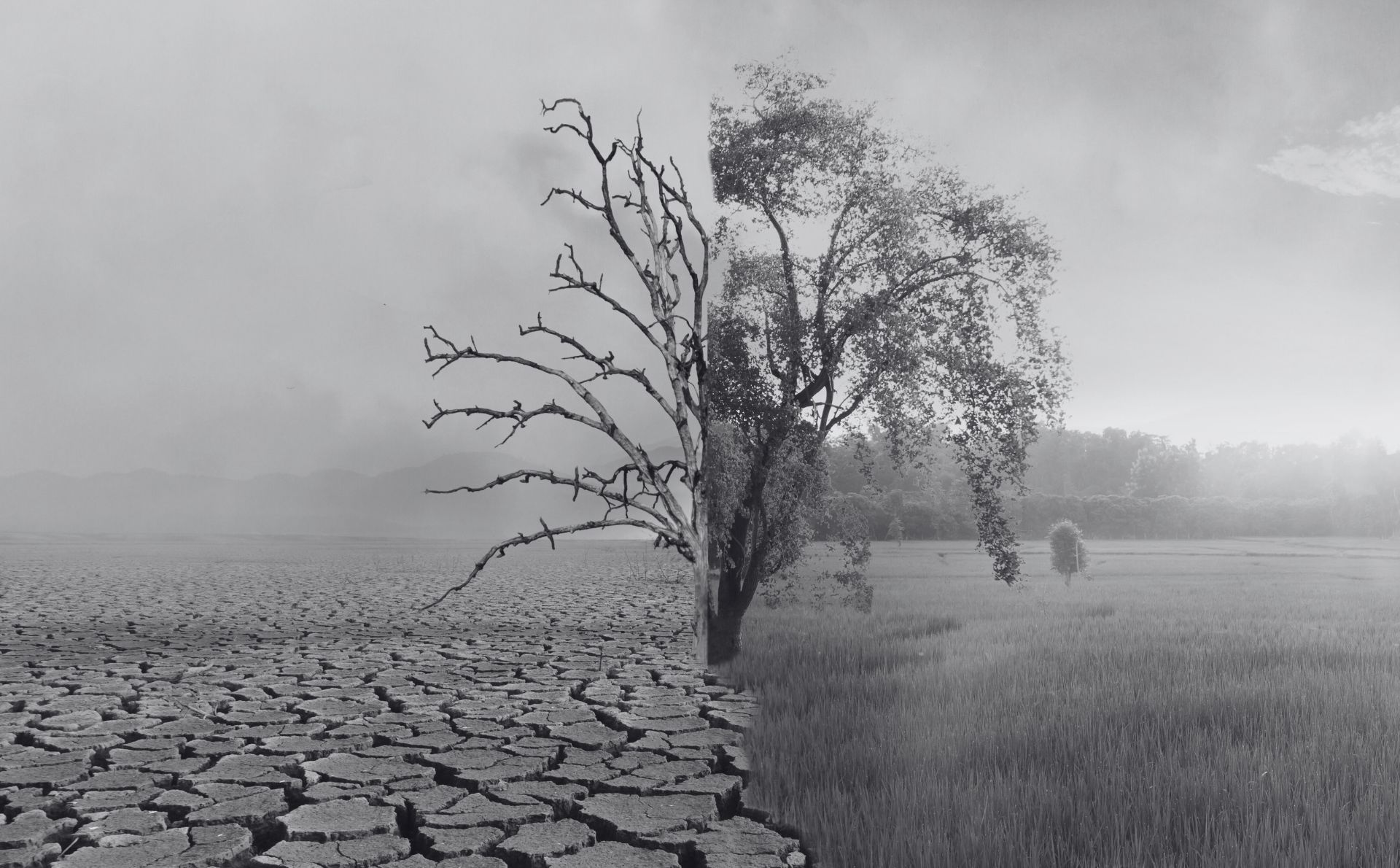 Por «Antropoceno» entendemos el momento de la historia en el que la crisis socioambiental empieza a alcanzar una profundidad geológica. Imagen extraída de Canva Pro.