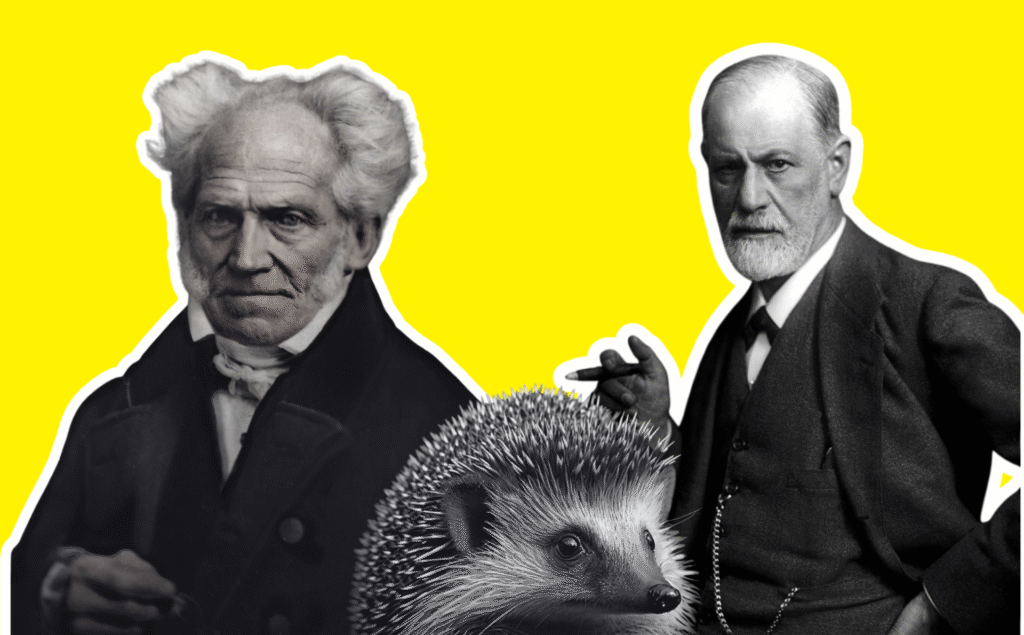 El dilema del erizo ha servido para debatir la complejidad de las relaciones humanas. Imágenes de Sigmund Freud y Arthur Schopenhauer extraídas de Wikimedia Commons (licencia CC); imagen del erizo extraída de Public Domain Pictures (licencia CC).