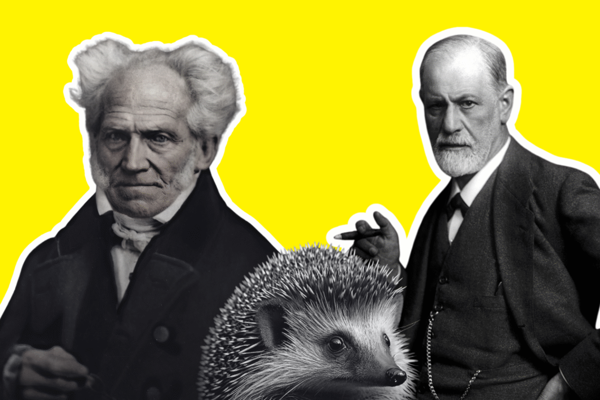 El dilema del erizo ha servido para debatir la complejidad de las relaciones humanas. Imágenes de Sigmund Freud y Arthur Schopenhauer extraídas de Wikimedia Commons (licencia CC); imagen del erizo extraída de Public Domain Pictures (licencia CC).