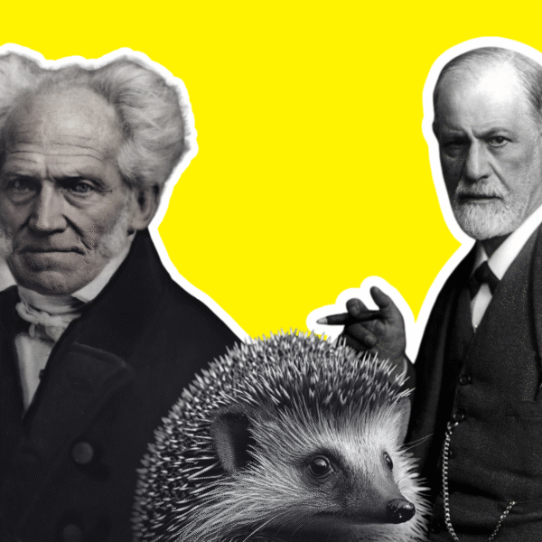 El dilema del erizo ha servido para debatir la complejidad de las relaciones humanas. Imágenes de Sigmund Freud y Arthur Schopenhauer extraídas de Wikimedia Commons (licencia CC); imagen del erizo extraída de Public Domain Pictures (licencia CC).