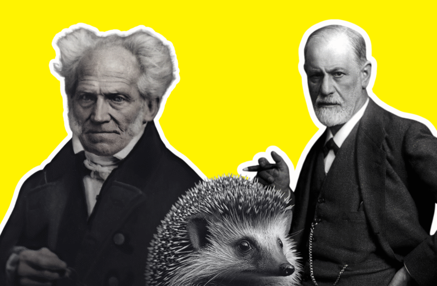 El dilema del erizo ha servido para debatir la complejidad de las relaciones humanas. Imágenes de Sigmund Freud y Arthur Schopenhauer extraídas de Wikimedia Commons (licencia CC); imagen del erizo extraída de Public Domain Pictures (licencia CC).