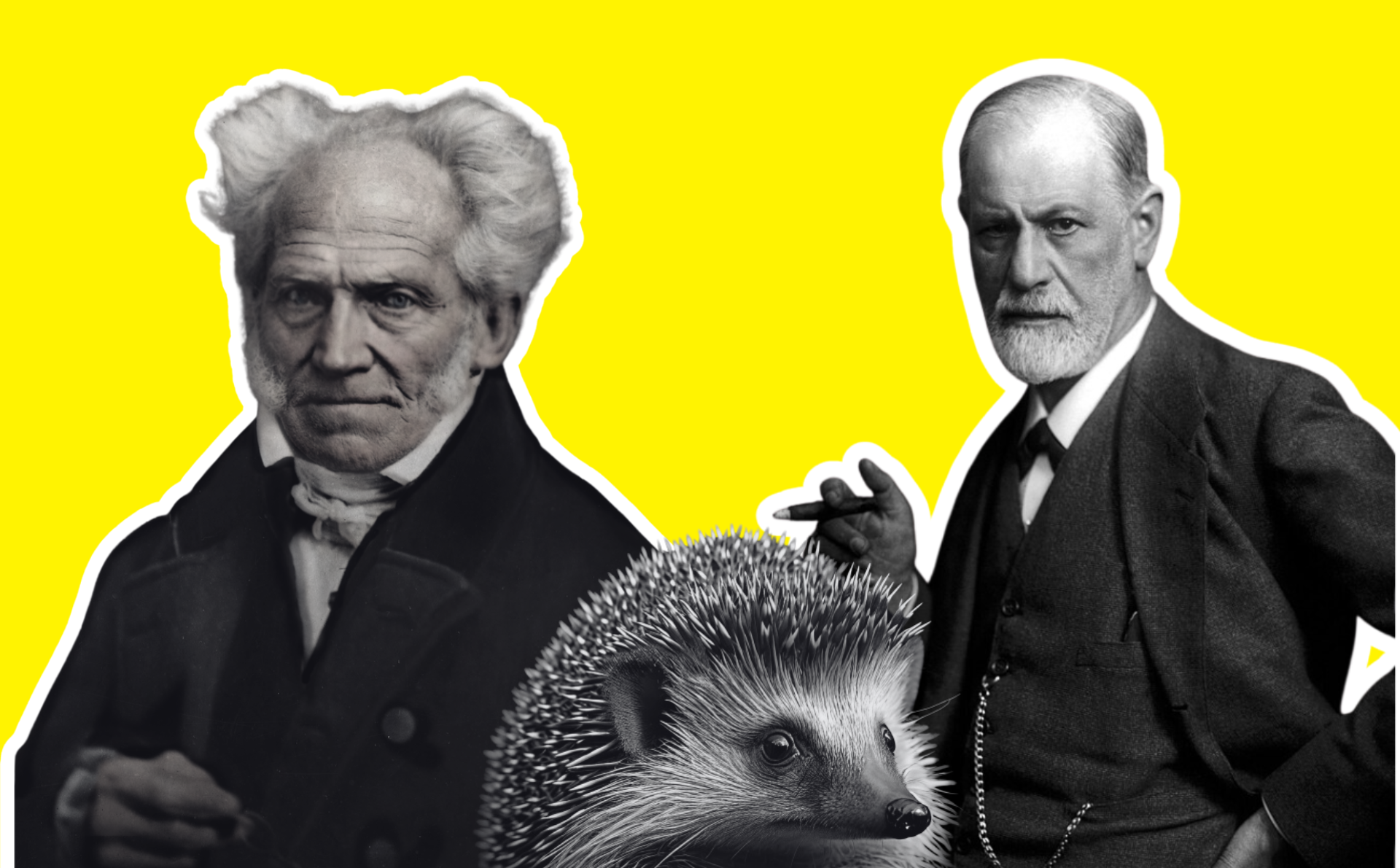 El dilema del erizo ha servido para debatir la complejidad de las relaciones humanas. Imágenes de Sigmund Freud y Arthur Schopenhauer extraÃdas de Wikimedia Commons (licencia CC); imagen del erizo extraÃda de Public Domain Pictures (licencia CC).