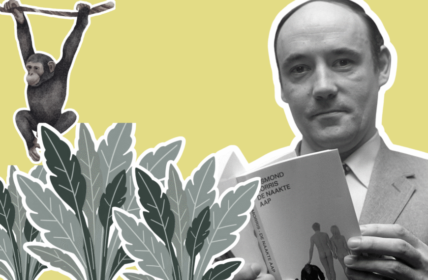 Desmond Morris, un mono y plantas.