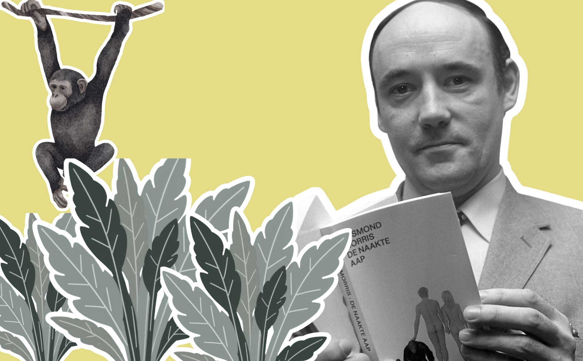 Desmond Morris, un mono y plantas.