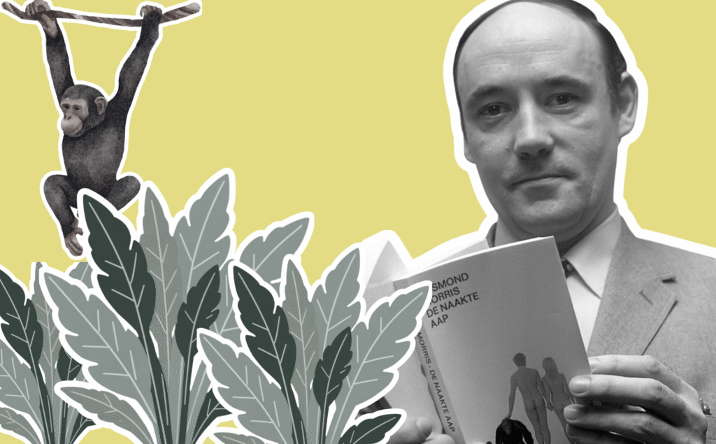 Desmond Morris, un mono y plantas.