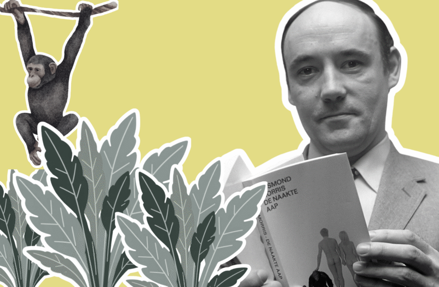 Desmond Morris, un mono y plantas.