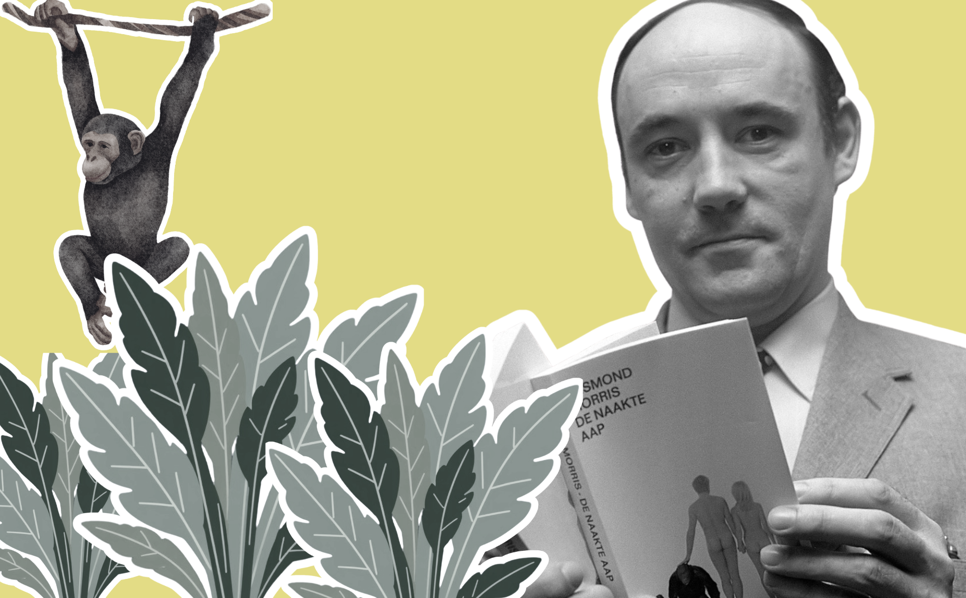 Desmond Morris, un mono y plantas.