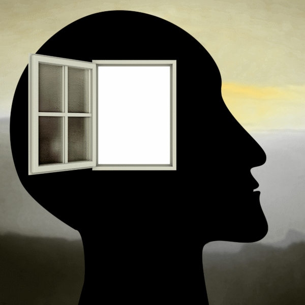Filosofía y razón. Una cabeza con una ventana abierta